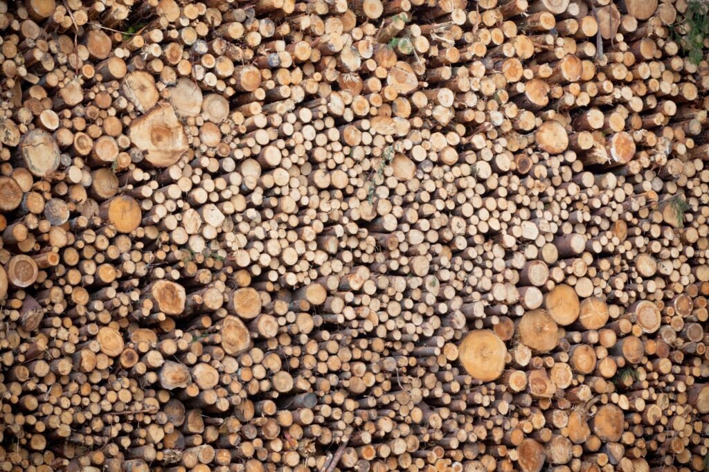 Pile of wood